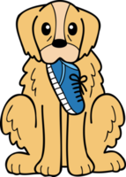 cão retriever dourado desenhado à mão segurando ilustração de sapatos no estilo doodle png