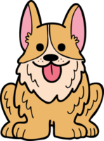 Hand Drawn Corgi Dog sitting waiting for owner illustration in doodle style png