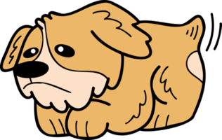 Hand Drawn Corgi Dog is sad illustration in doodle style png