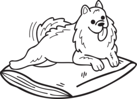dibujado a mano ilustración de perro samoyedo durmiendo en estilo garabato png