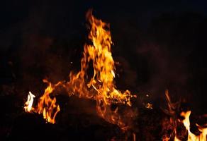 Flames of bonfire at night photo