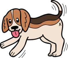 Hand Drawn Beagle Dog walking illustration in doodle style png