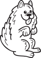 dibujado a mano perro samoyedo mendigando ilustración del propietario en estilo garabato png