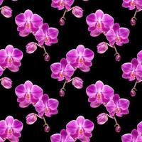 Orchid seamless pattern photo
