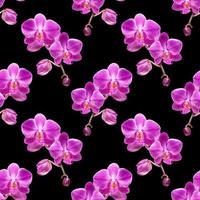 Orchid seamless pattern photo