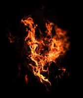 Fire flames on a black background photo