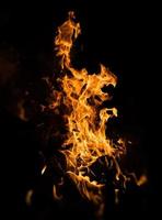 Fire flames on a black background photo