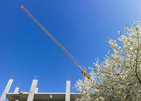 Construction crane with a spring flowering trees photo