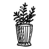 ilustración botánica. plantas de interior en macetas en jarrones con flores. estilo garabato. vector