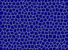 blue and white of abstract background vector
