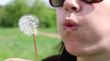 Portrait of a beautiful young woman on a summer lawn blowing on a ripe dandelion on a sunny day outdoors. Enjoy nature. Allergy free concept.