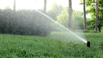 Sistema de riego de césped funcionando en un parque verde. rociar el césped con agua cuando hace calor. Aspersor automático. el cabezal del aspersor de riego automático que riega el césped. jardín inteligente. video