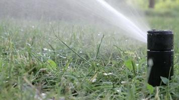 Rasenbewässerungssystem, das in einem grünen Park arbeitet. Besprühen Sie den Rasen bei heißem Wetter mit Wasser. automatischer Sprinkler. der automatische Bewässerungssprinklerkopf bewässert den Rasen. intelligenter Garten. video