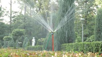 gräsmatta bevattningssystem som arbetar i en grön park. spraya gräsmattan med vatten i varmt väder. automatisk sprinkler. det automatiska bevattningssprinklerhuvudet vattnar gräsmattan. smart trädgård. video