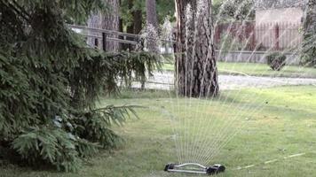 sistema de irrigação de gramado trabalhando em um parque verde. borrifar água no gramado em dias quentes. sprinkler automático. o aspersor de irrigação automática irrigando o gramado. jardim inteligente. video