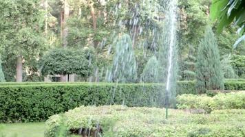 impianto di irrigazione del prato funzionante in un parco verde. spruzzando il prato con acqua quando fa caldo. spruzzatore automatico. la testa dell'irrigatore di irrigazione automatica che innaffia il prato. giardino intelligente. video