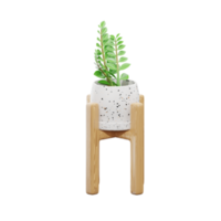 3D zamioculcas zamiifolia