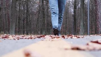 Eine Frau in Jeans geht im Herbst tagsüber auf einer asphaltierten Straße mit gelben Markierungen im Park und gelben Laub durch die Stadt. Videoaufnahmen aus sehr niedrigem Winkel vom Boden aus. video