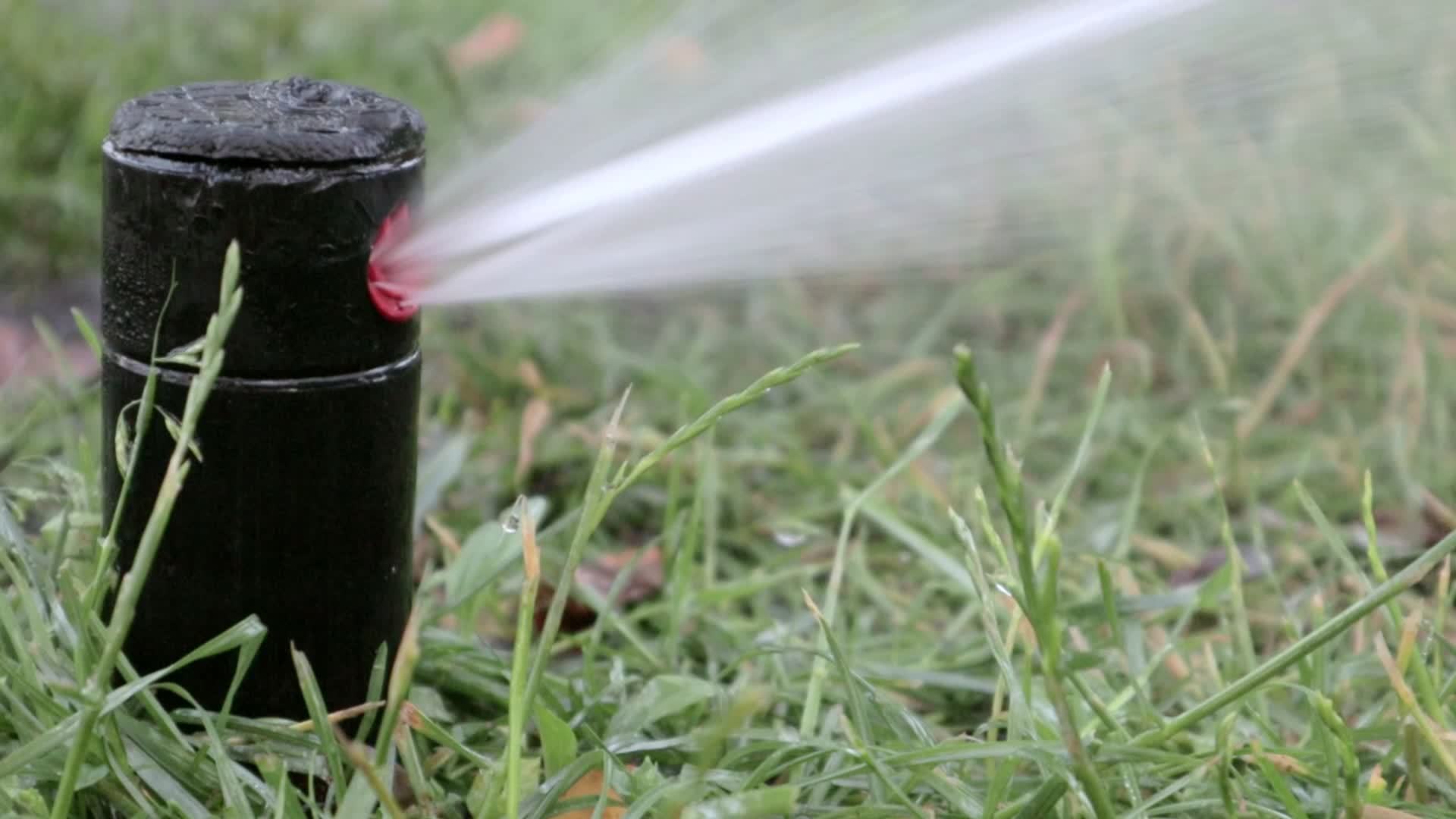 Lawn irrigation system working in a green park. Spraying the lawn with