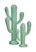 hermoso cactus de cerámica con reflejo de espejo aislado en fondo blanco con camino de recorte png