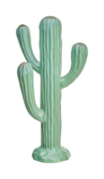 hermoso cactus de cerámica con reflejo de espejo aislado en fondo blanco con camino de recorte png