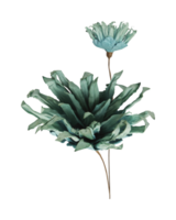 Chrysanthemum artificial dried flowers with paper save covid 19 with cut out isolated on background transparent png