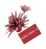 fleurs séchées artificielles de chrysanthème avec papier enregistrer covid 19 avec découpe isolé sur fond transparent png