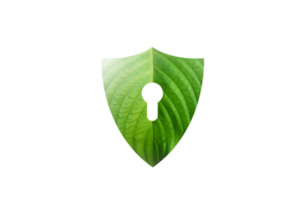 Green shield protects nature and protects the environment on transparent background PNG file