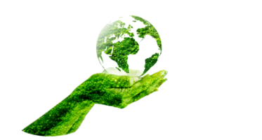 globo verde dentro del concepto que protege el medio ambiente y la naturaleza en un archivo png de fondo transparente