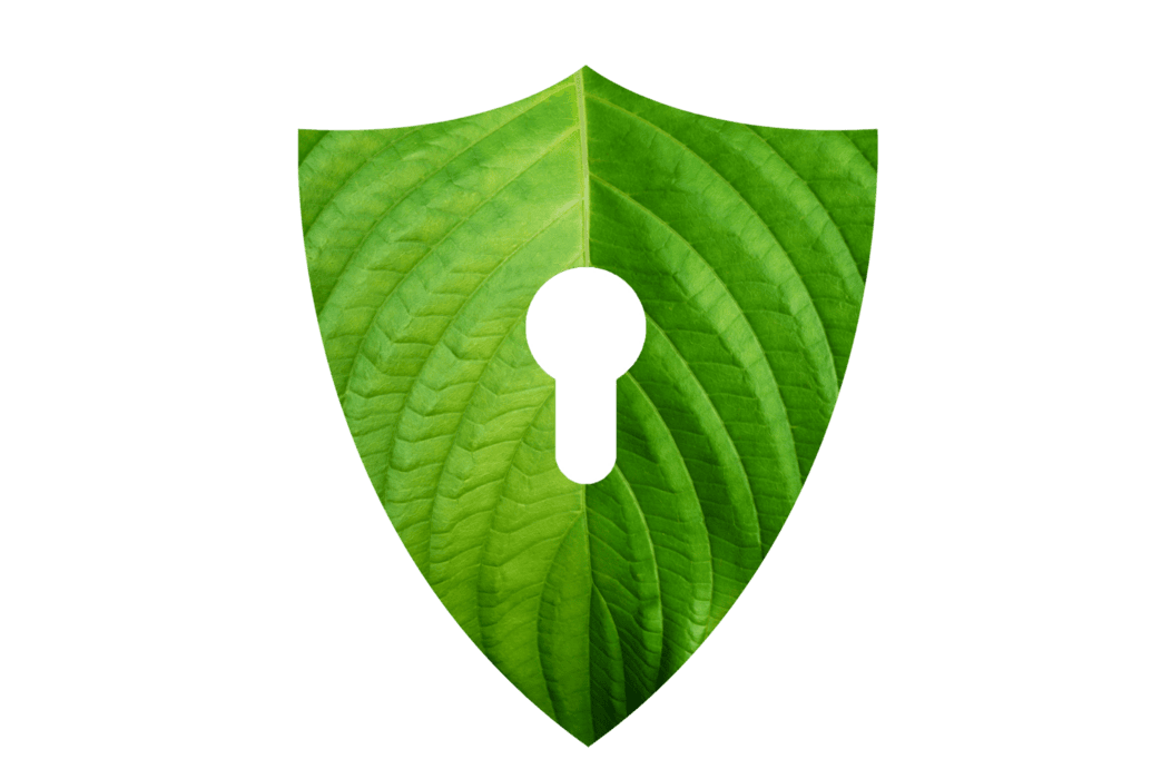 Nature Logo PNGs for Free Download