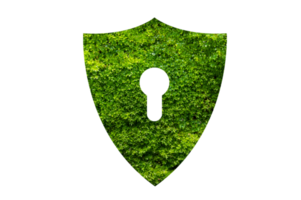 Green shield protects nature and protects the environment on transparent background PNG file