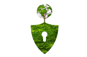 el escudo verde protege la naturaleza y protege el medio ambiente en un archivo png de fondo transparente