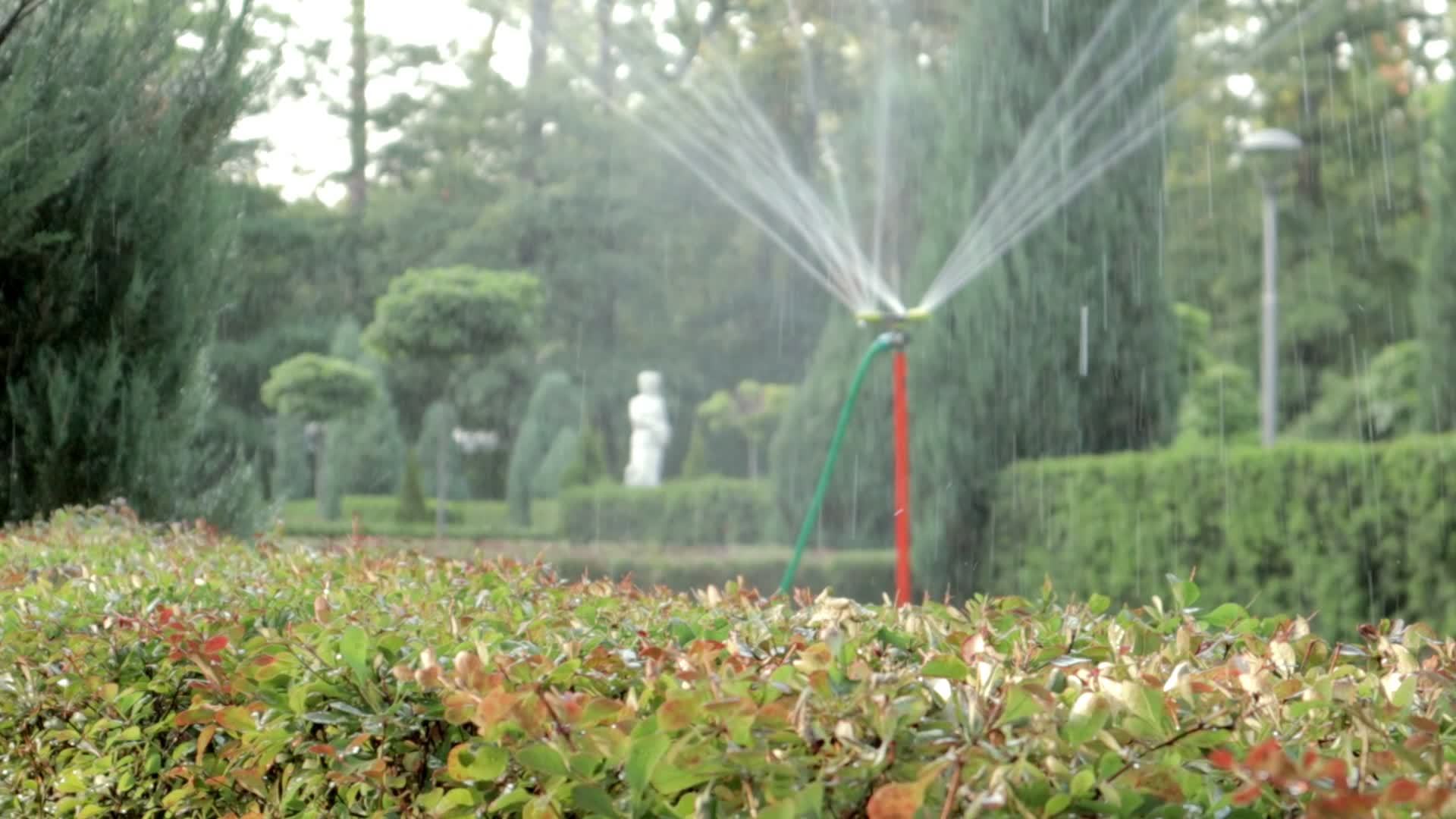Lawn irrigation system working in a green park. Spraying the lawn with