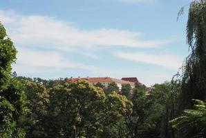 Spielberg castle in Brno photo