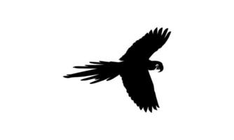 Flying Macaw Bird Silhouette for Logo, Pictogram, Art Illustration, Website or Graphic Design Element. Vector Illustration