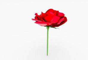 beautiful rose 3d illustration minimal rendering on white background. photo