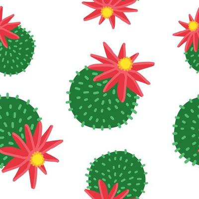 Cacti pattern. Vector illustration in cartoon flat style isolated on white background.