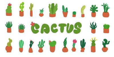 conjunto de cactus. ilustraciones vectoriales en estilo plano de dibujos animados aisladas sobre fondo blanco. vector