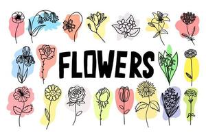 Flowers with colorful brush set in flat doodle cartoon style. Vector illustration set on white background.