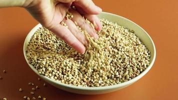 Uncooked organic green buckwheat in a plate. A female hand with a wooden spoon is sorting or picking up groats. video