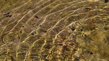 garçon de fontaine avec des poissons. sur la vasque de la fontaine se trouve une sculpture d'un garçon en bronze, qui tient dans ses mains deux poissons, d'où jaillissent des jets d'eau. video