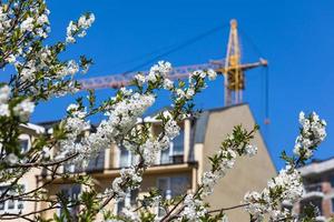 Construction crane with a spring flowering trees photo