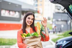 Young beautiful woman holding paper bag of groceries from supermarket with a happy face showing ok sign standing and smiling with a confident smile photo