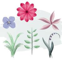 the set of colorful watercolor effect flowers and herbs in rustic style vector