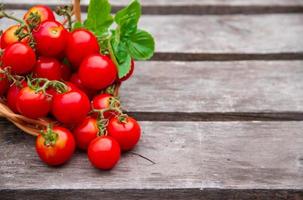 fresh cherry tomatoes basil and oregano on aged wooden rustic background photo
