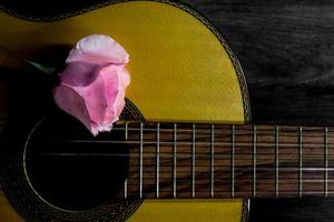 un capullo rosa en las cuerdas de la guitarra foto