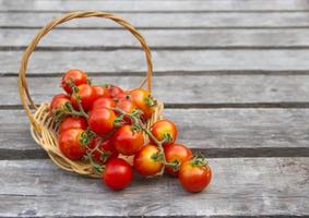 fresh cherry tomatoes basil and oregano on aged wooden rustic background