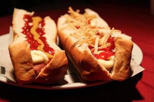 big hot dog with sauces and french fries photo