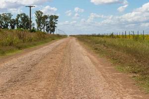 concepto de distancia con camino de campo en la llanura foto