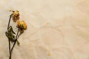 concept of passing time with wilted flowers on old papers photo